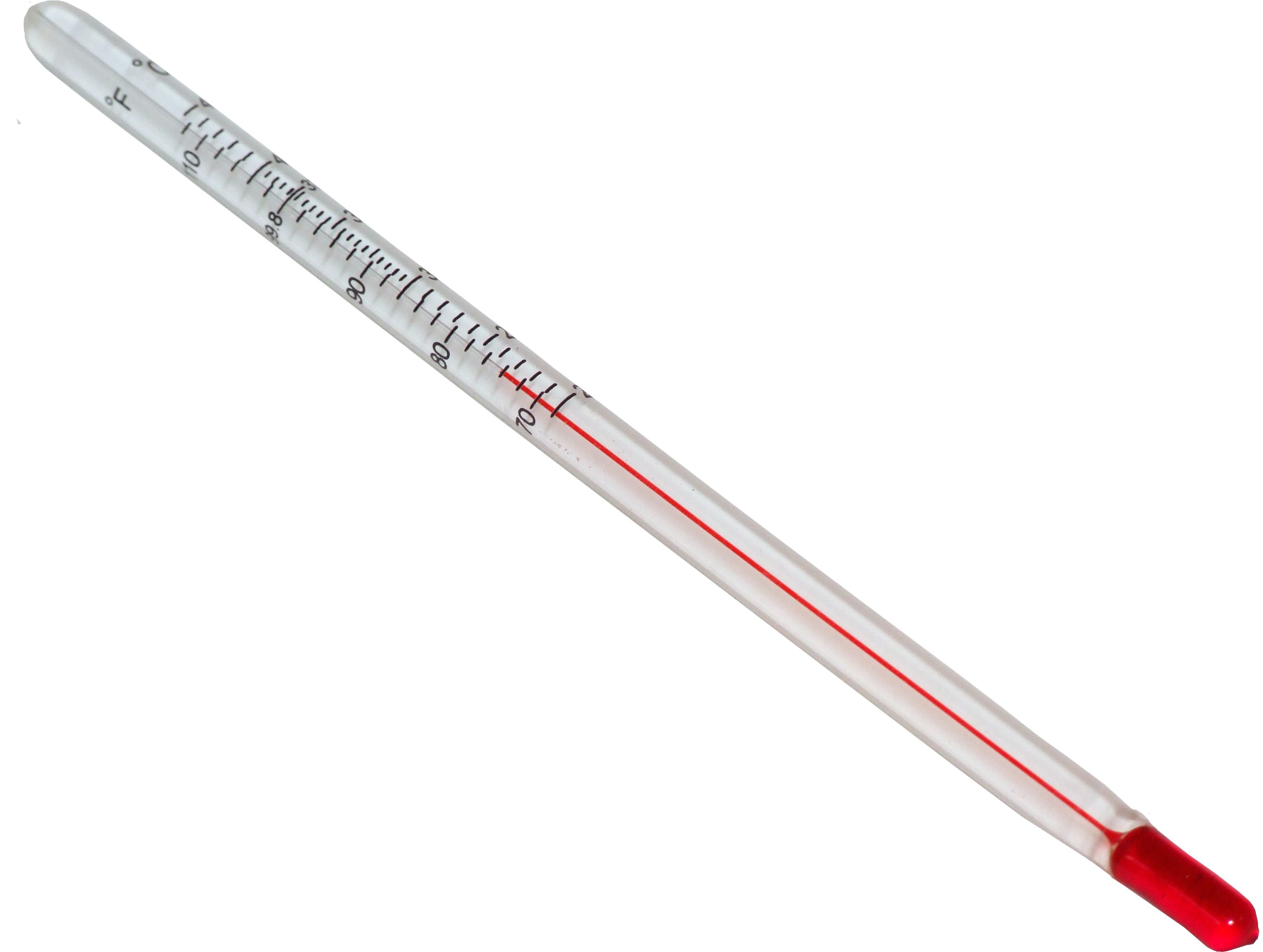 chicktec 6 thermometer 498 p